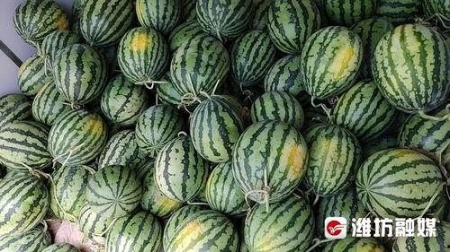 黑料吃瓜网一区二区三区,揭秘网络八卦背后的真相与秘密